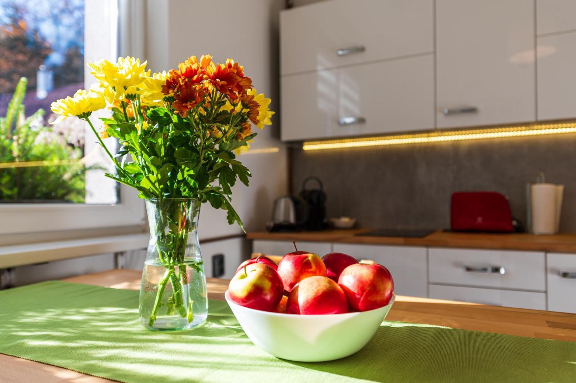 Ubytovani Na Samote - Apartman U Tesaru Komarice Eksteriør bilde